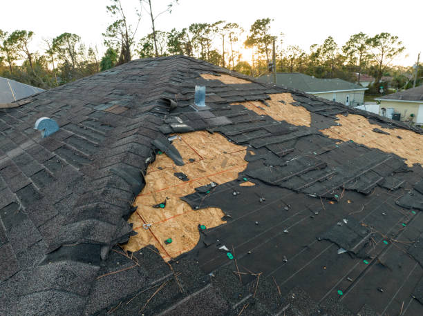 Best Tile Roofing Installation  in Braska City, NE